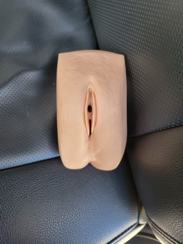Laerdal simman genitale - laerdal,