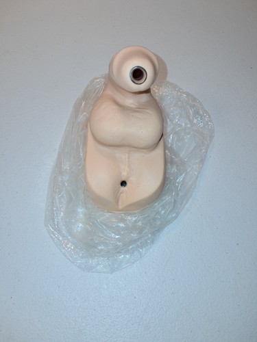 Laerdal simman genitalia - laerdal,