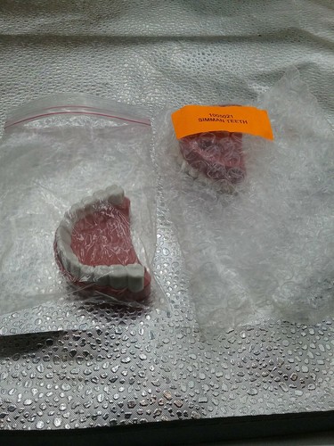 Lotto denti da - di,